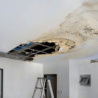 Hole in and mould on ceiling caused by water leak